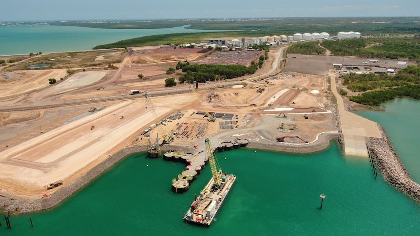 Banksia project photo